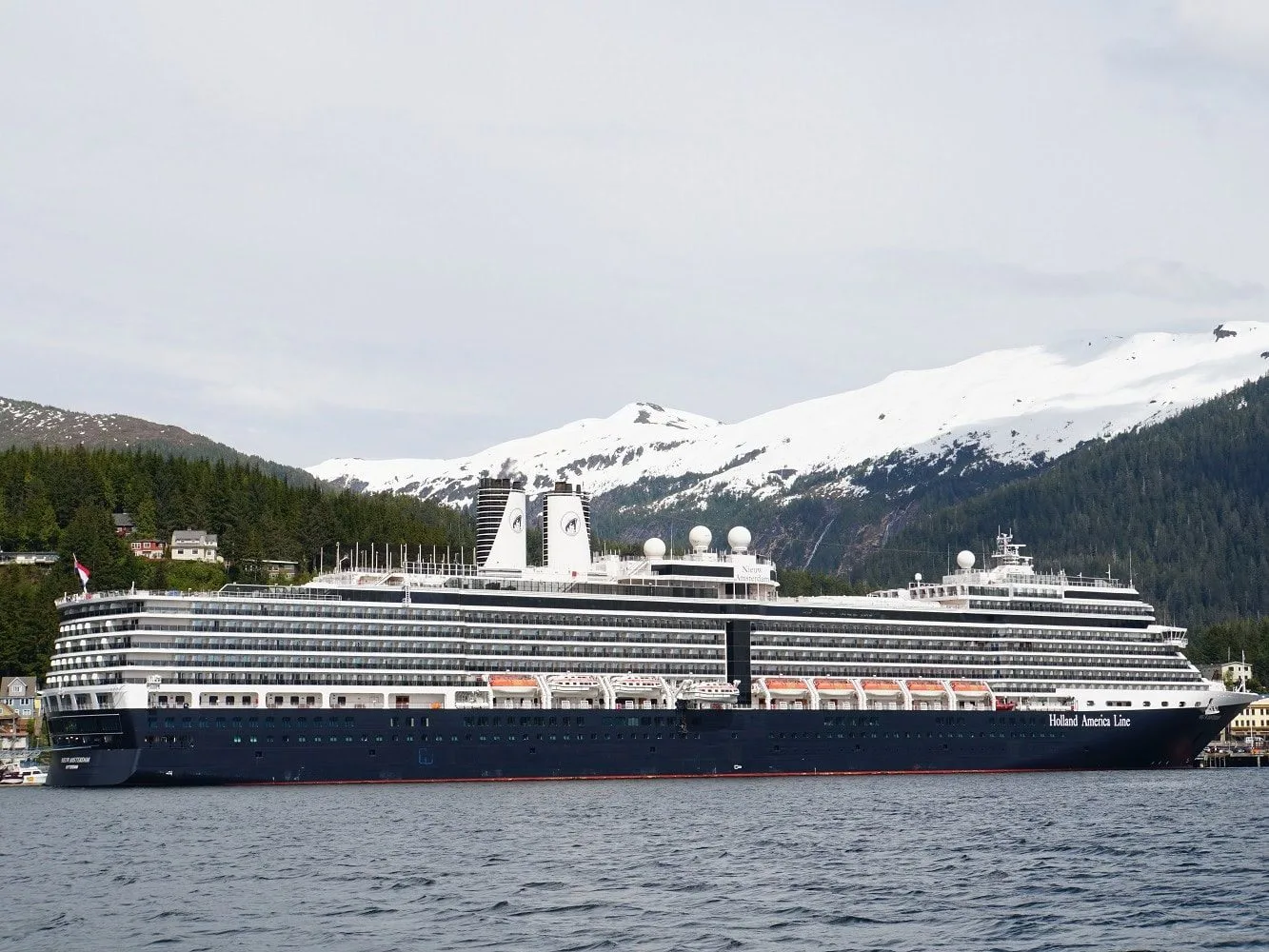 MS Nieuw Amsterdam - Image by Holidays Beckon
