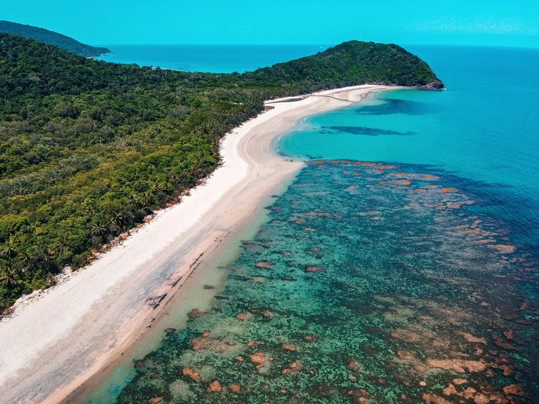 Daintree Rainforest Cape Tribulation - Image by Manny Moreno on Unsplash