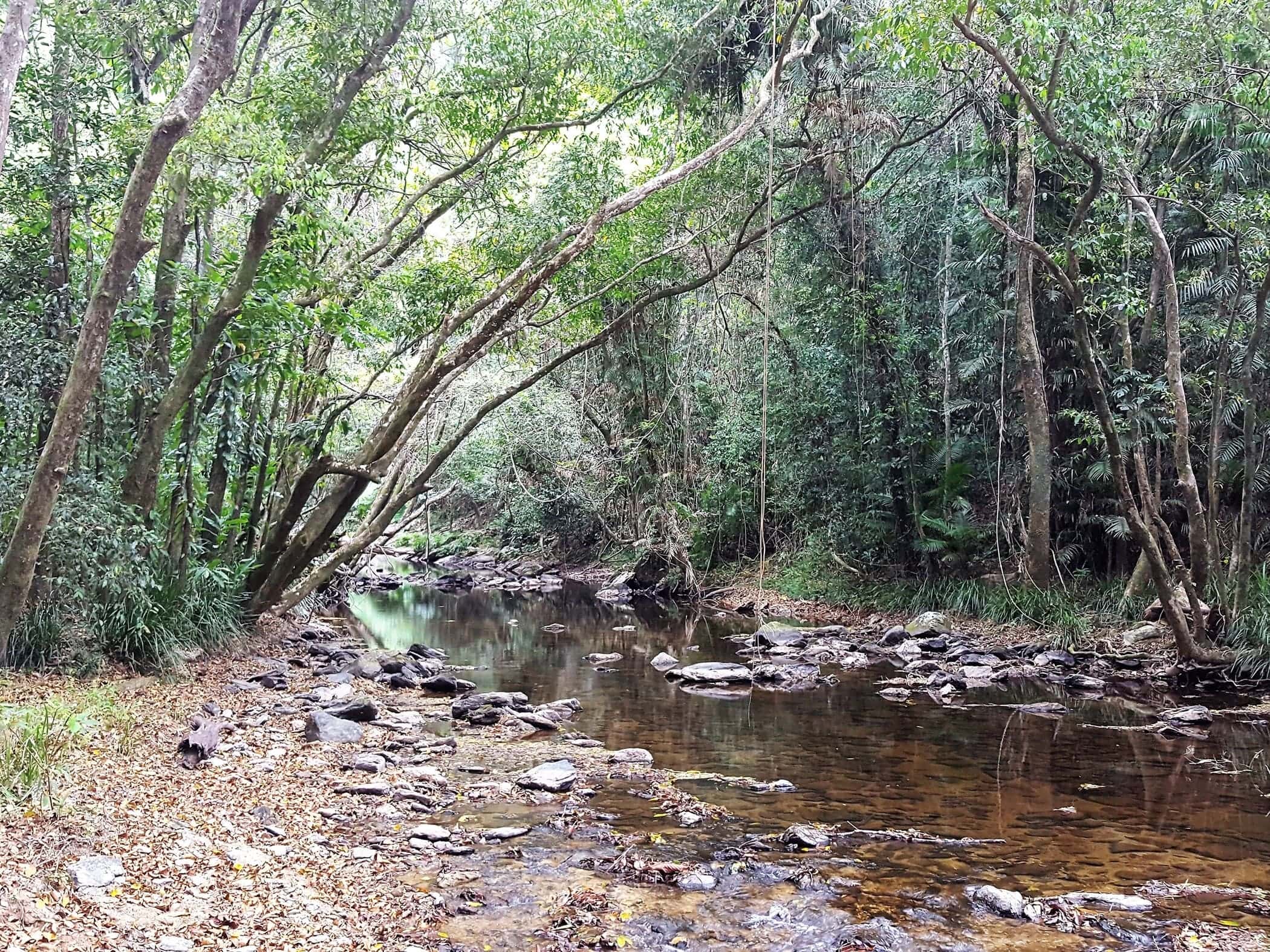 Mossman - Image by Holidays Beckon