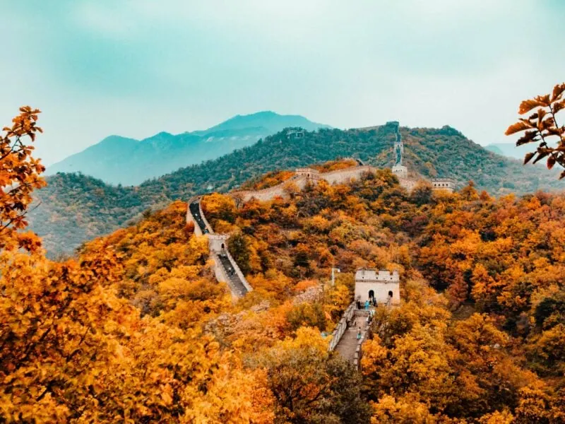 Image by Hanson Lu on Unsplash