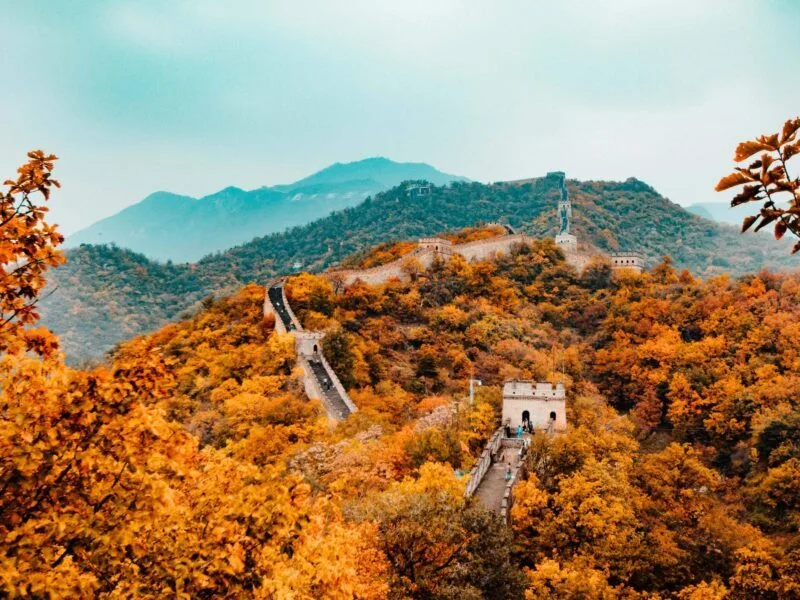 Image by Hanson Lu on Unsplash