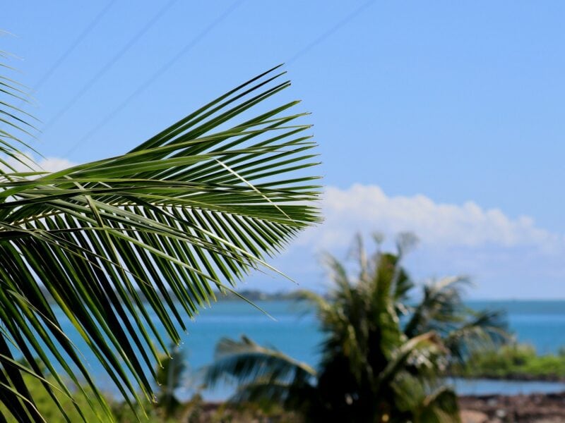 Apia Samoa - Image by Wilson Stratton on Unsplash