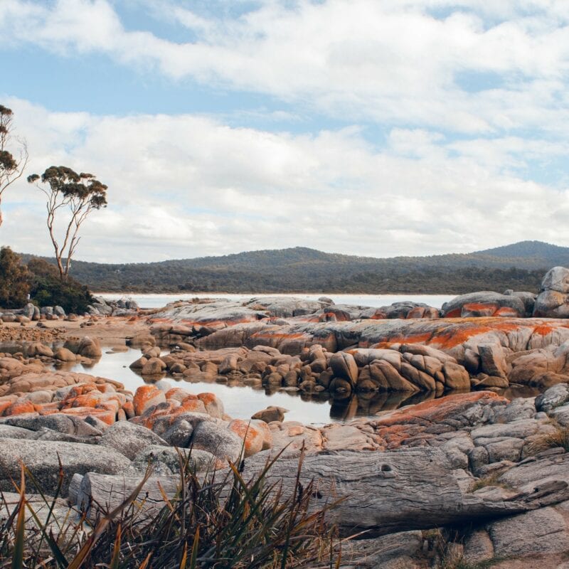 Bay of Fires Tassie - Image by Spencer Chow on Unsplash