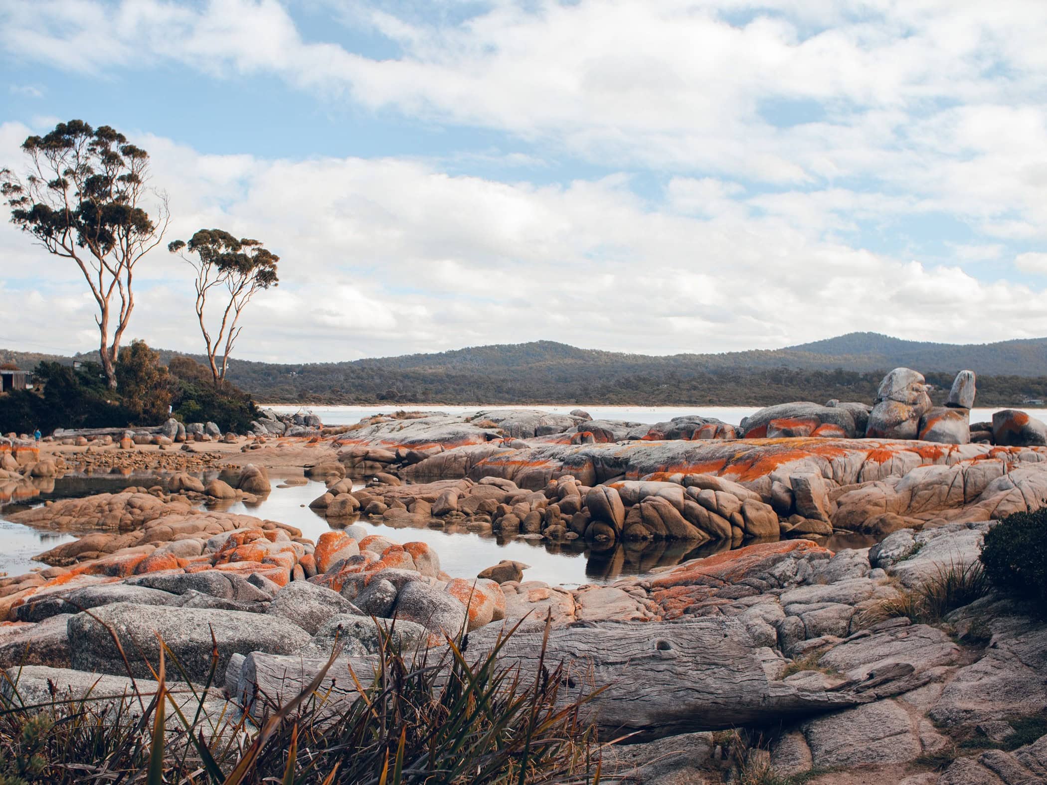 Bay of Fires Tassie - Image by Spencer Chow on Unsplash
