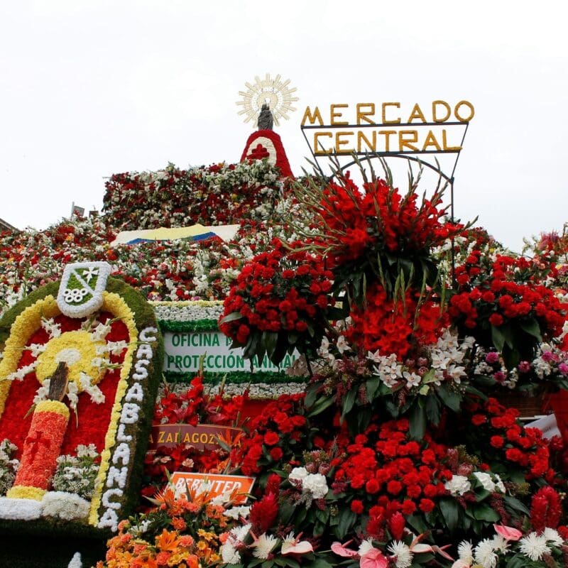 Dia del Pilar Zarazoga - Image by Malena Gonzalez Serena on Unsplash
