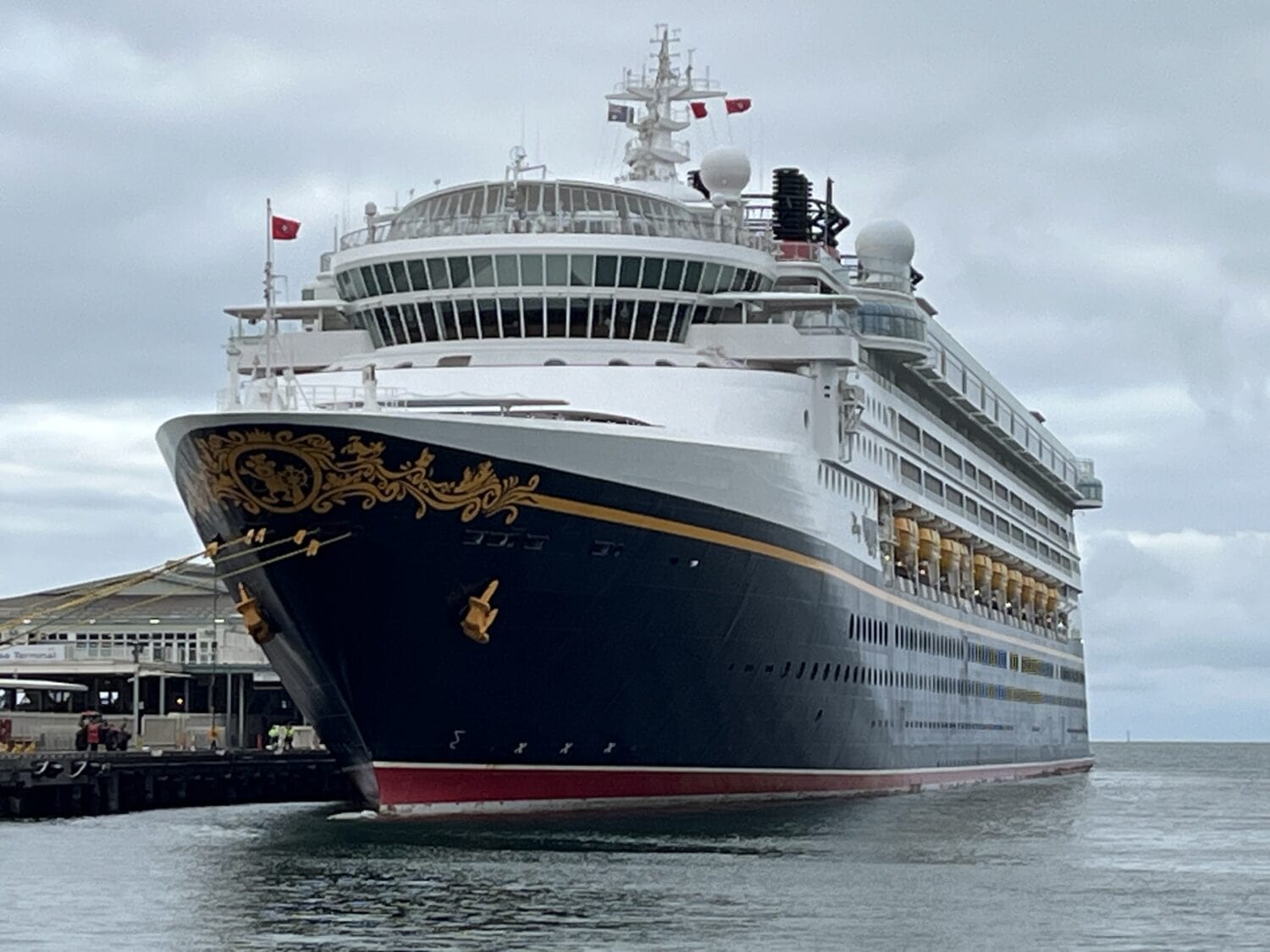 Disney Wonder docks in Melbourne - Image by Warren Morgan Photography