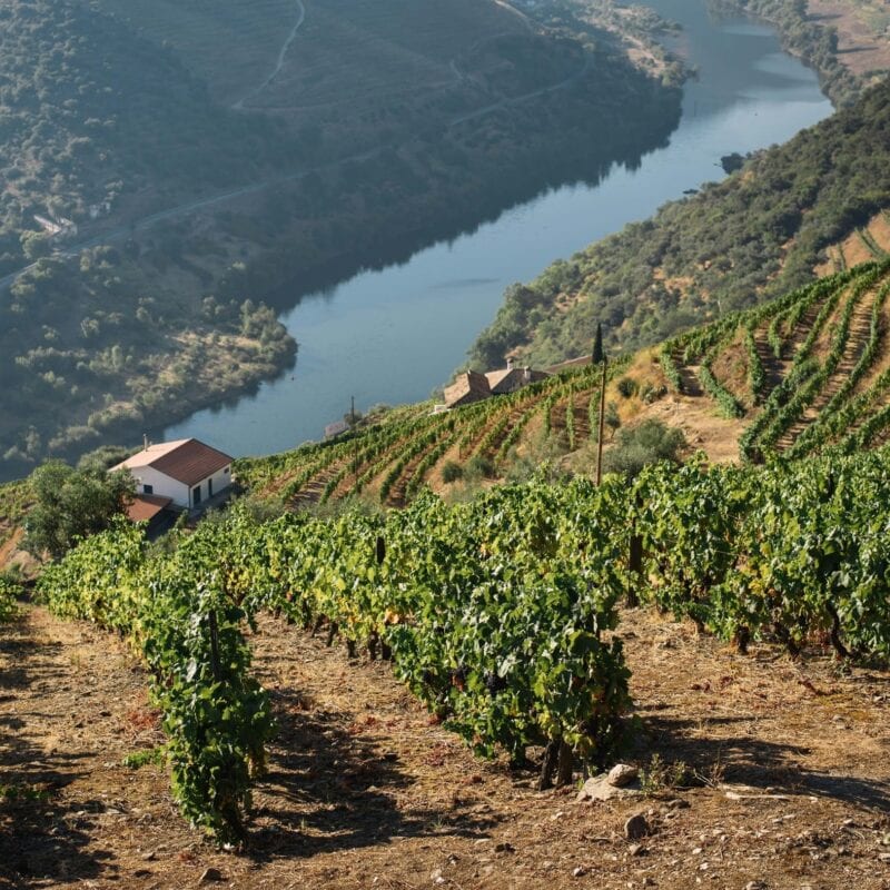 Douro River Portugal - Image by Maksym Kaharlytskyi on Unsplash