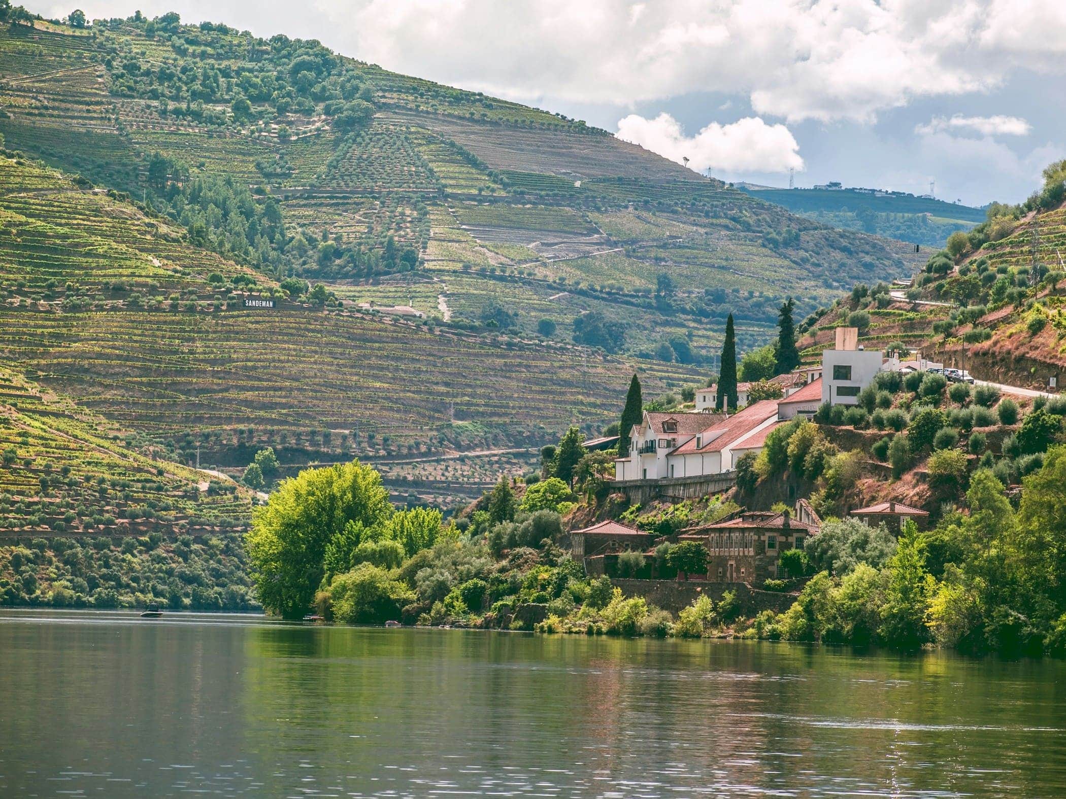 Douro Valley - Quinta de la Rosa Pinhao - Image by Rach Sam on Unsplash