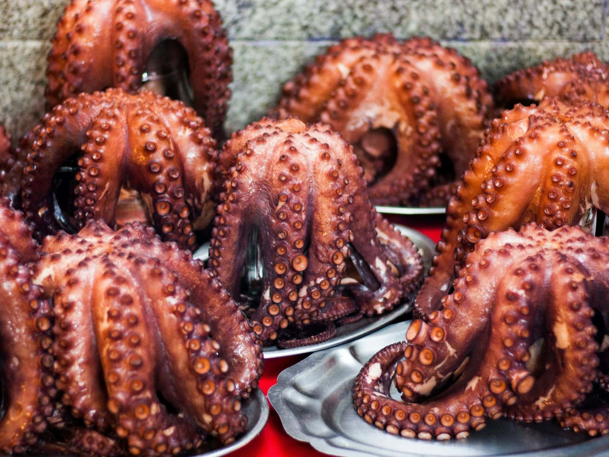 Galician Octopus - Image by Elle Hughes on Unsplash
