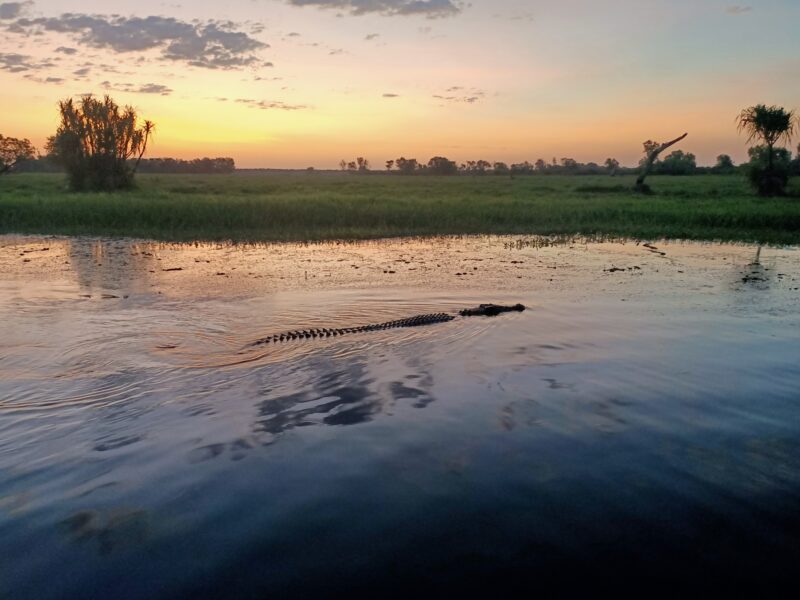 Yellow Water Lagoon - Image by Holidays Beckon