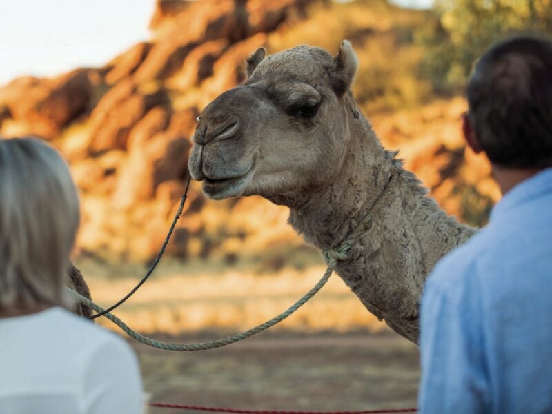 JBRE - The Ghan Expedition Telegraph Station Dinner Alice Springs NT