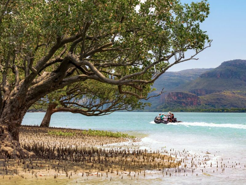 Kimberley Mangrove Hunter River ©StudioPONANT_Juliette_Leclercq