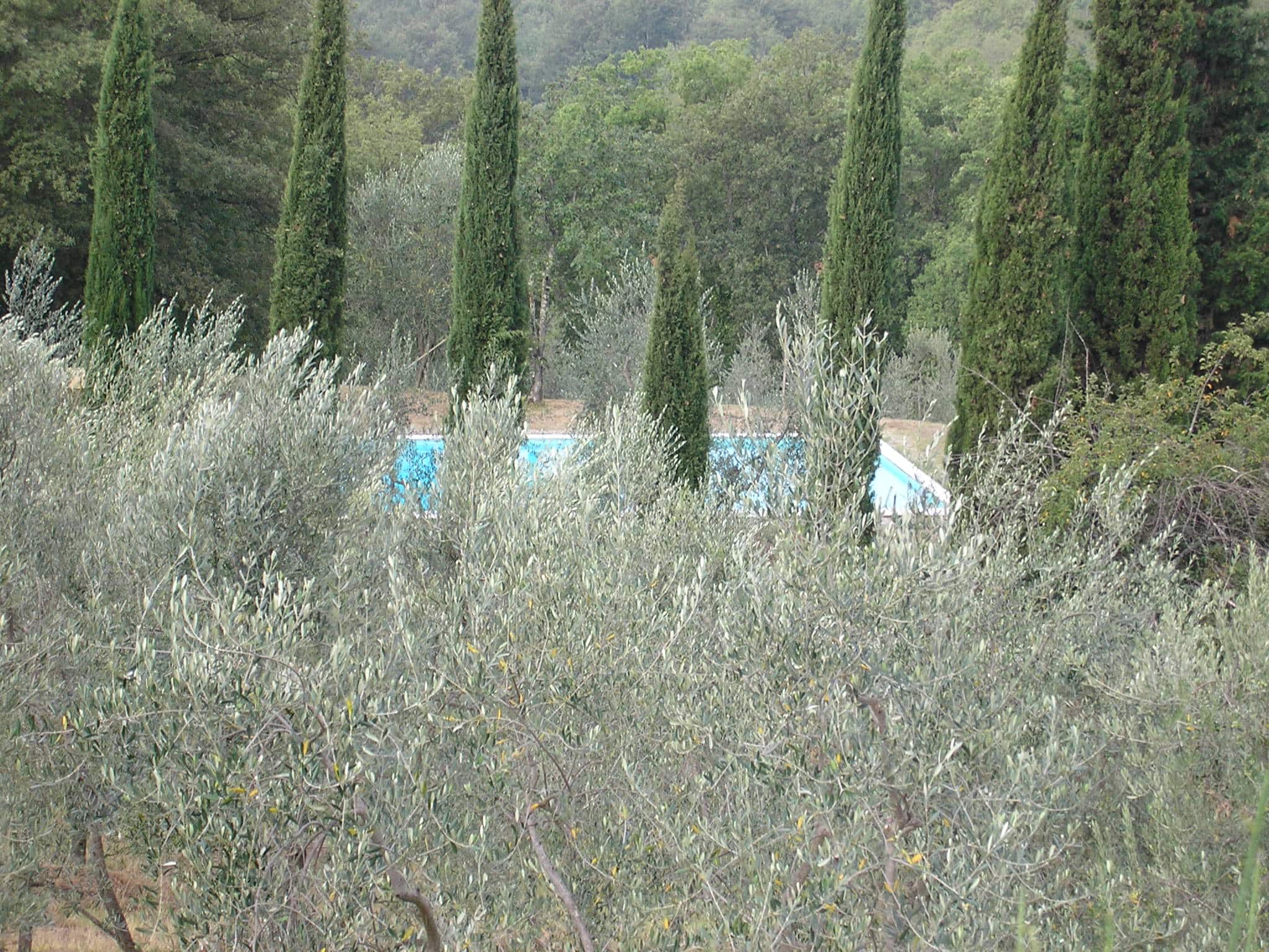 Swimming Pool at the Villa - Image by Holidays Beckon