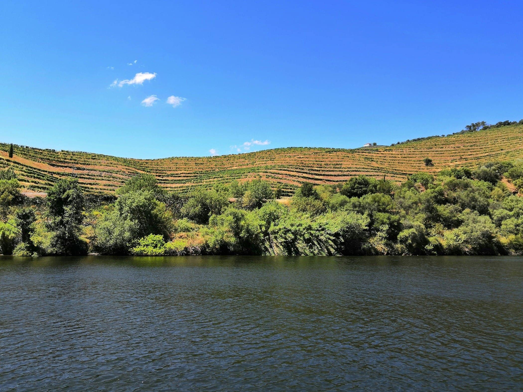 Pinhao - Douro River Cruising - Image by Antonio Sessa Unsplash