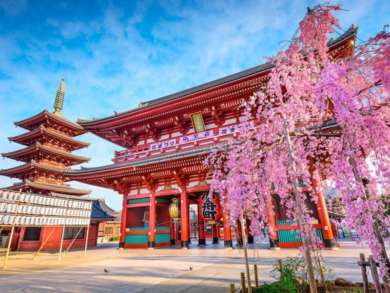 Tokyo Japan - Image by Viking Cruises