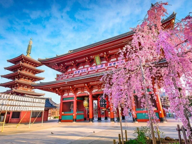 Tokyo Japan - Image by Viking Cruises