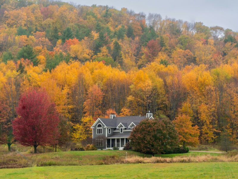 Vermont - Image by Michelle_Pitzel on Pixabay