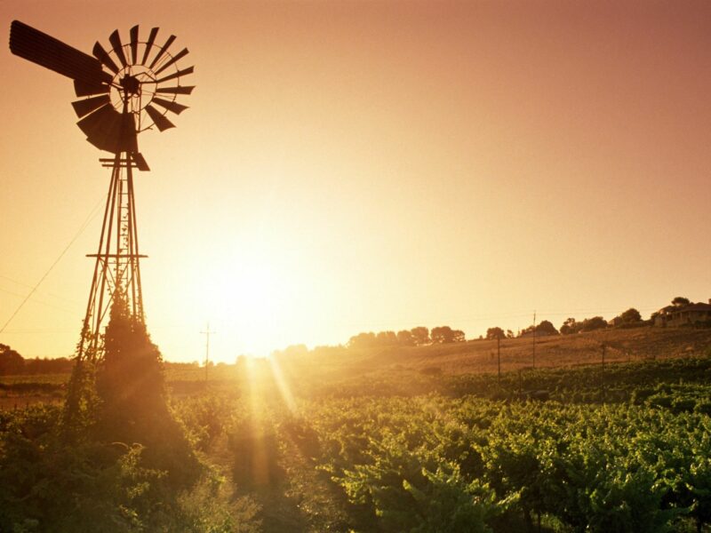 Barossa Valley - Tourism Australia