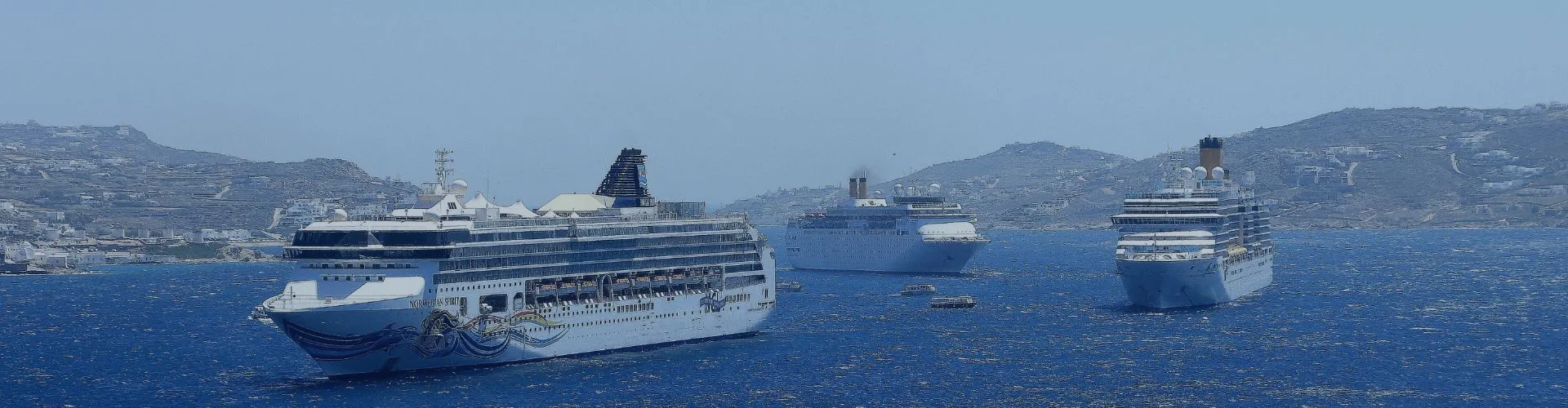 Cruise Search