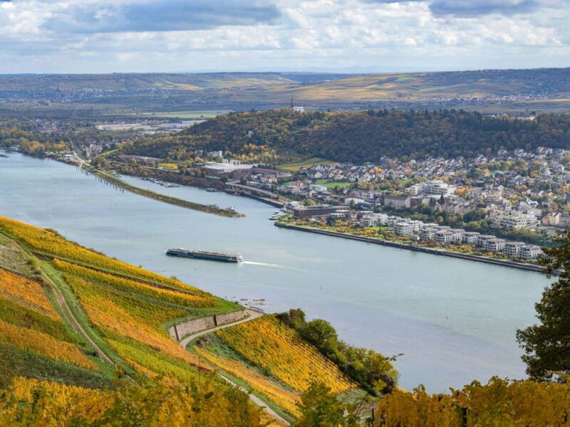 Rudesheim Germany - Image by Jonan Steiner on Unsplash