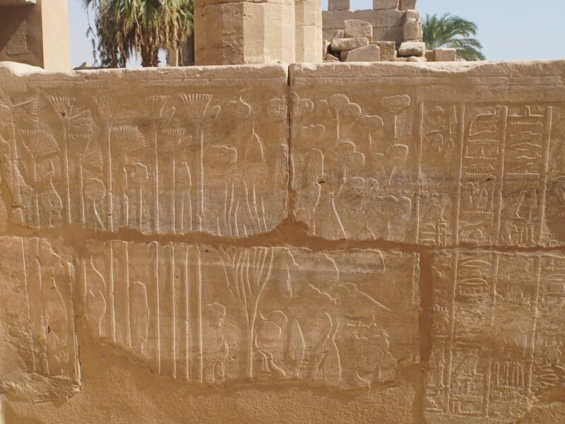 Karnak Botannical Gardens - Image by Holidays Beckon