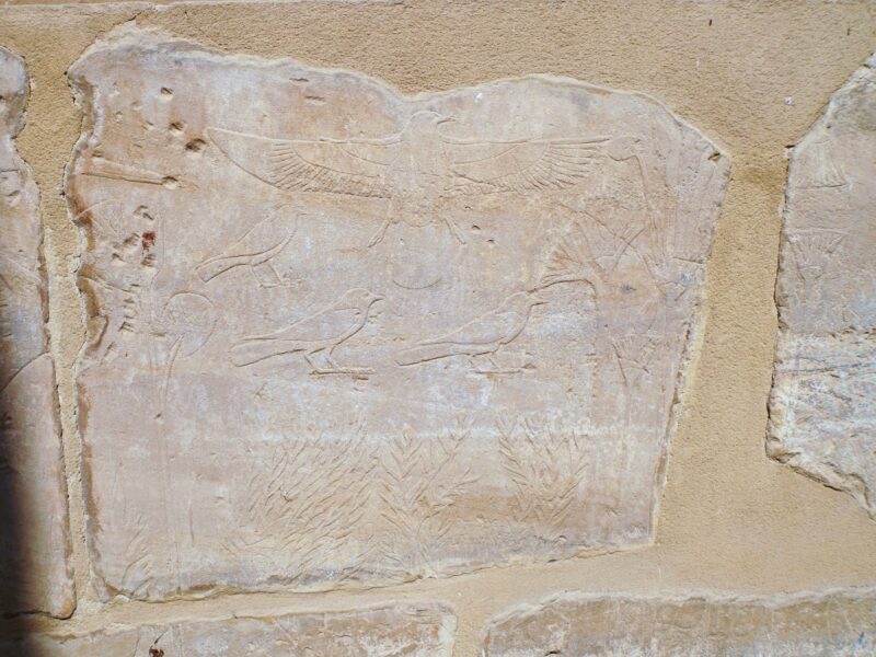 Karnak Zoo - Image by Holidays Beckon