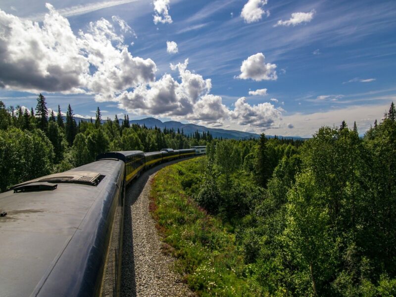 Denali train ride - Image by Brandon Brown on Unsplash