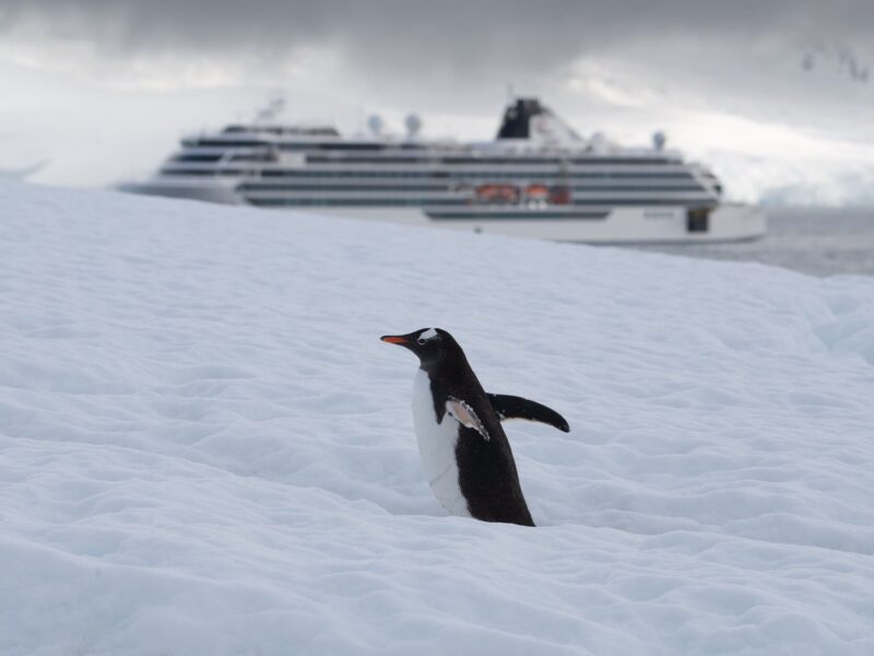 Expedition Ship - Antarctica - Image by Viking Cruises