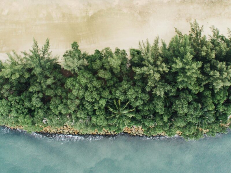 Sentosa - Image by Hanson Lu on Unsplash