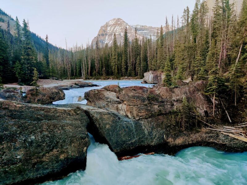 Yoho National Park - Image by Sneha Chandrashekar on Unsplash
