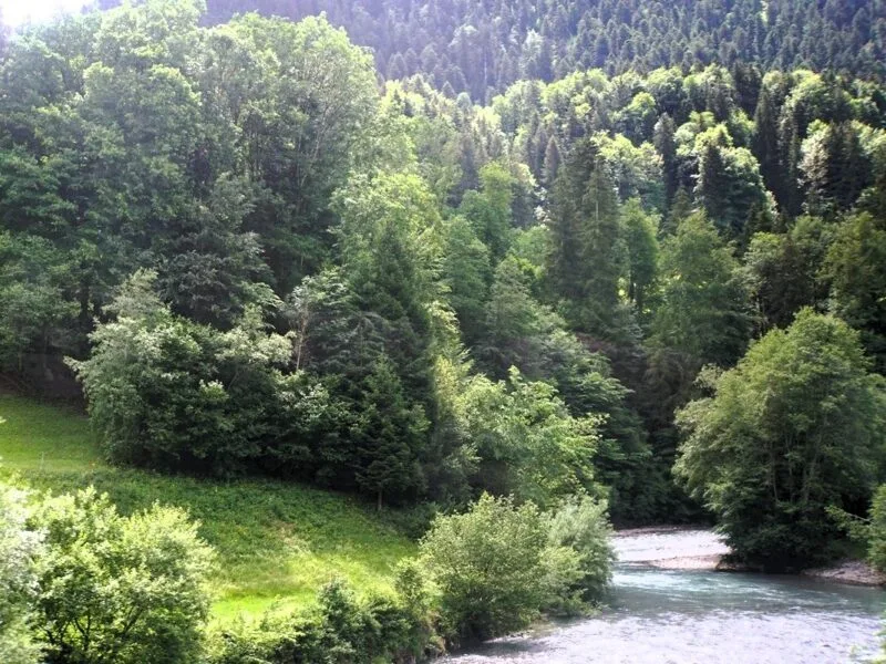 Simmental (Simmen Valley) - Goldenpass Express
